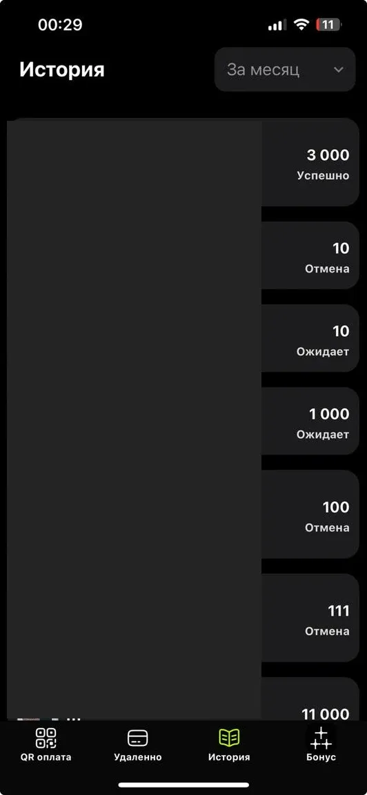 SORPA Pay: Посмотреть историю транзакций, Оригинальный региональный интерфейс